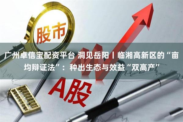 广州卓信宝配资平台 洞见岳阳丨临湘高新区的“亩均辩证法”：种出生态与效益“双高产”
