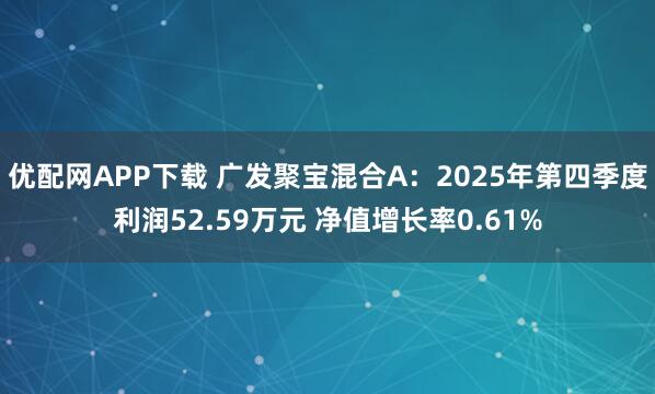 优配网APP下载 广发聚宝混合A：2025年第四季度利润52.59万元 净值增长率0.61%