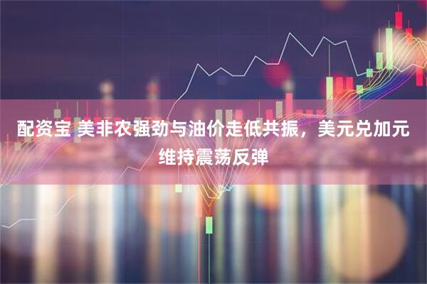配资宝 美非农强劲与油价走低共振，美元兑加元维持震荡反弹