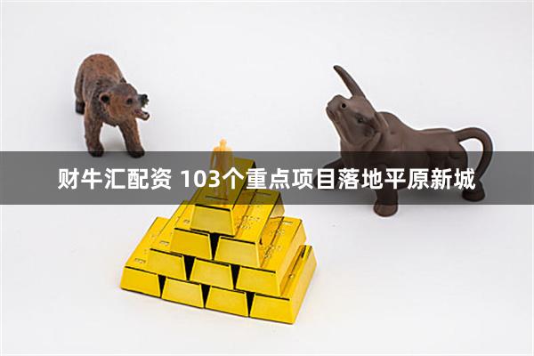 财牛汇配资 103个重点项目落地平原新城
